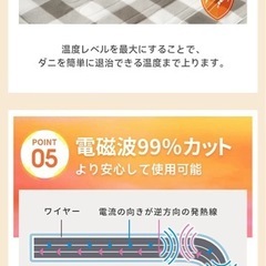 電気毛布 敷き 冬物家電 掛け敷き兼用 毛布 肩掛け モバイルバッテリーの画像