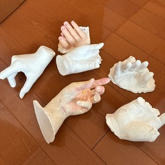 骸骨石膏像　おまけ付き（手の石膏像）の画像