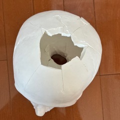骸骨石膏像　おまけ付き（手の石膏像）の画像