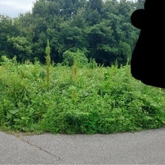 草刈りやお家のお困りごと