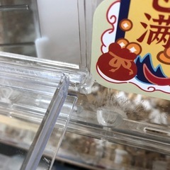 【訳あり】三晃商会ルーミィ60ハムスターケージの画像