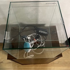 30センチキューブ水槽　 45センチ水槽台　ヒーター　エアーポンプ
の画像
