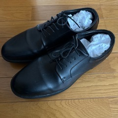 革靴 30cmの画像