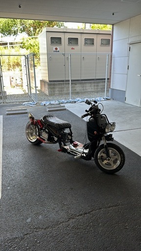 ズーマー　ルッカス　　フルカスタム