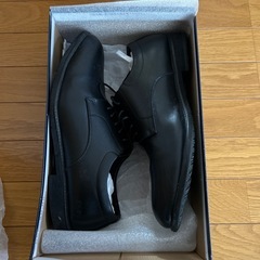 革靴 30cmの画像