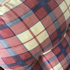 折りたたみ　リクライニングチェア　チェック柄の画像