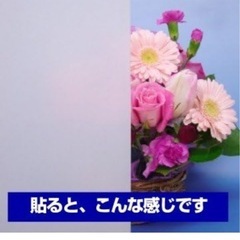 ★新品★ 貼ってはがせる省エネ目かくしシート ガラスメイト 2セットの画像