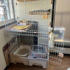 猫の部屋の清掃などの画像