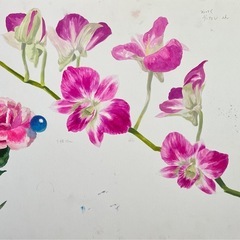 色彩構成　描写練習　どれか一つの画像