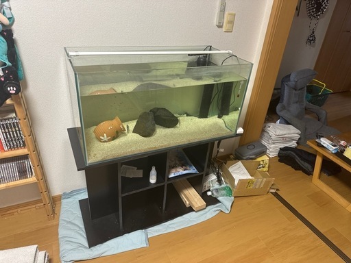 アクアリウム引退品90センチ水槽と台、砂ライト、ヒーター、濾過器、フロントーサ生体