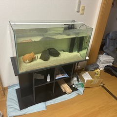 アクアリウム引退品90センチ水槽と台、砂ライト、ヒーター、濾過器、フロントーサ生体の画像