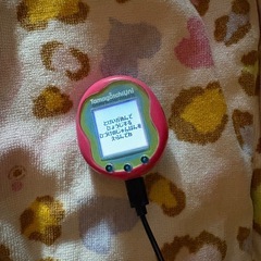 たまごっち　ユニ　ピンク　ゲームの画像