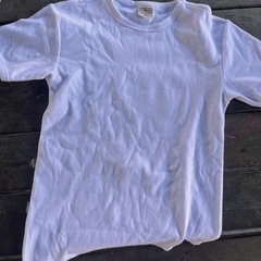 AVIREX   TシャツSサイズの画像