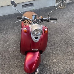 vino の画像