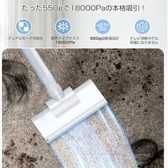 【明日 9/10だけこの価格‼️】【新品未開封】超軽量　コードレス掃除機（Zyrvox）の画像