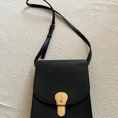 美品　縦型ショルダーバッグ　グレージュまたはブラック(画像2枚目)の画像
