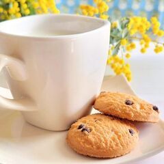 チョコレート 接客従業員<No.190>の画像