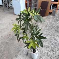 ダミー観葉植物の画像