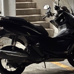 pcx56の画像