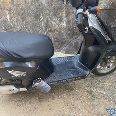 50ccバイク　トゥデイ の画像