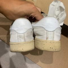【Reebok × HALL OF FAME コラボ スニーカー】 サイズ：29cm表記 カラー：ホワイトの画像