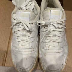 【Reebok × HALL OF FAME コラボ スニーカー】 サイズ：29cm表記 カラー：ホワイトの画像