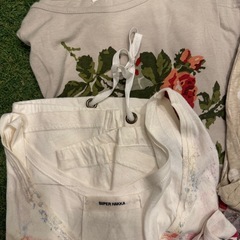 スーパーハッカ、ハクまとめて決まりました。の画像