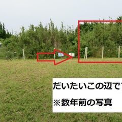 【手数料なし】海まで車で10分！誰にも知られない秘密の土地を持ちませんか？固定資産税０円です☆ソロキャンプ、プライベート空間、秘密基地、家庭菜園、ブッシュクラフトなど！165㎡（約50坪） - 旭市