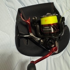 レマーレ　　5000DHGの画像