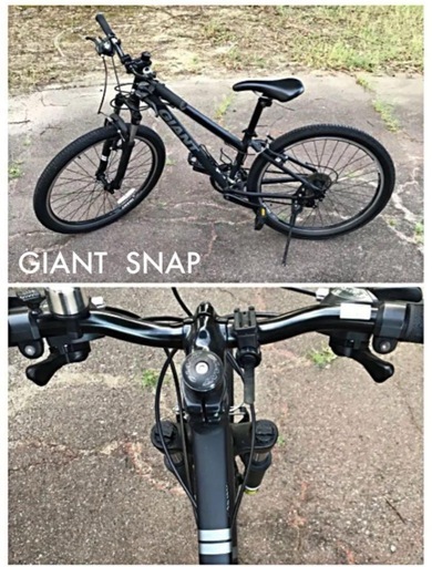 GIANT SNAP 2016 マウンテンバイク