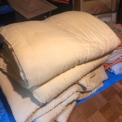 掛け布団/座布団の画像