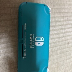 Switchライト　ジャンクの画像