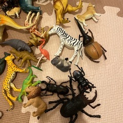 アニア動物・昆虫おもちゃ　　の画像
