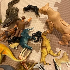 アニア動物・昆虫おもちゃ　　の画像