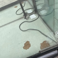 ショーケース差し上げます。幅151奥行き46高さ184センチの画像