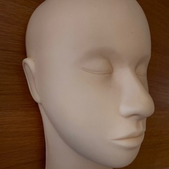 【中古美品】フェイシャルマネキンの画像