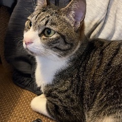 2歳の兄弟です