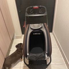犬ベビーカーの画像