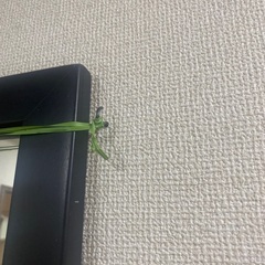 大きな鏡（全身映ります）の画像