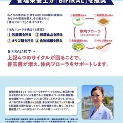 ビフィラル 乳酸菌 ビフィズス菌 酪酸菌 サプリ 4.5兆個 30日分 国内製造 菌活 オリゴ糖 イヌリン ナットウキナーゼ の画像