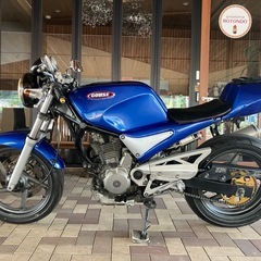 自賠責保険付き！SUZUKI グース250 オールペン　ヨシムラマフラー　油脂類交換　スパークプラグ交換　前後タイヤ2023年製　クラッチOHの画像