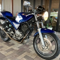 自賠責保険付き！SUZUKI グース250 オールペン　ヨシムラマフラー　油脂類交換　スパークプラグ交換　前後タイヤ2023年製　クラッチOHの画像