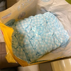 小型犬用オムツの画像