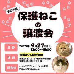 保護ねこ譲渡会 in 宝塚
