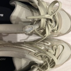 Salomon スニーカーの画像