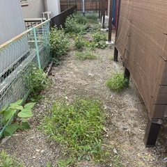 定期訪問草刈