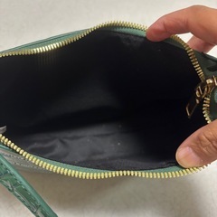 ショルダーバッグ　グリーン　ツヤ感　クロコ風デザインの画像