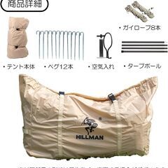 エアフレームテント タープ付き エアー テント インフレータブル 300x210x200cm 防水 ロッジタイプ アウトドア キャンプ ピクニック ファミリー 大人用 子供用 簡単組立 手動空気入れ付きの画像