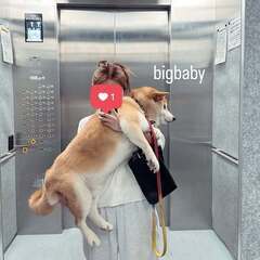 うちの子と小さな旅へ🐶🚗