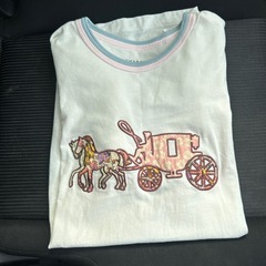 coach バッグセット　シャツの画像